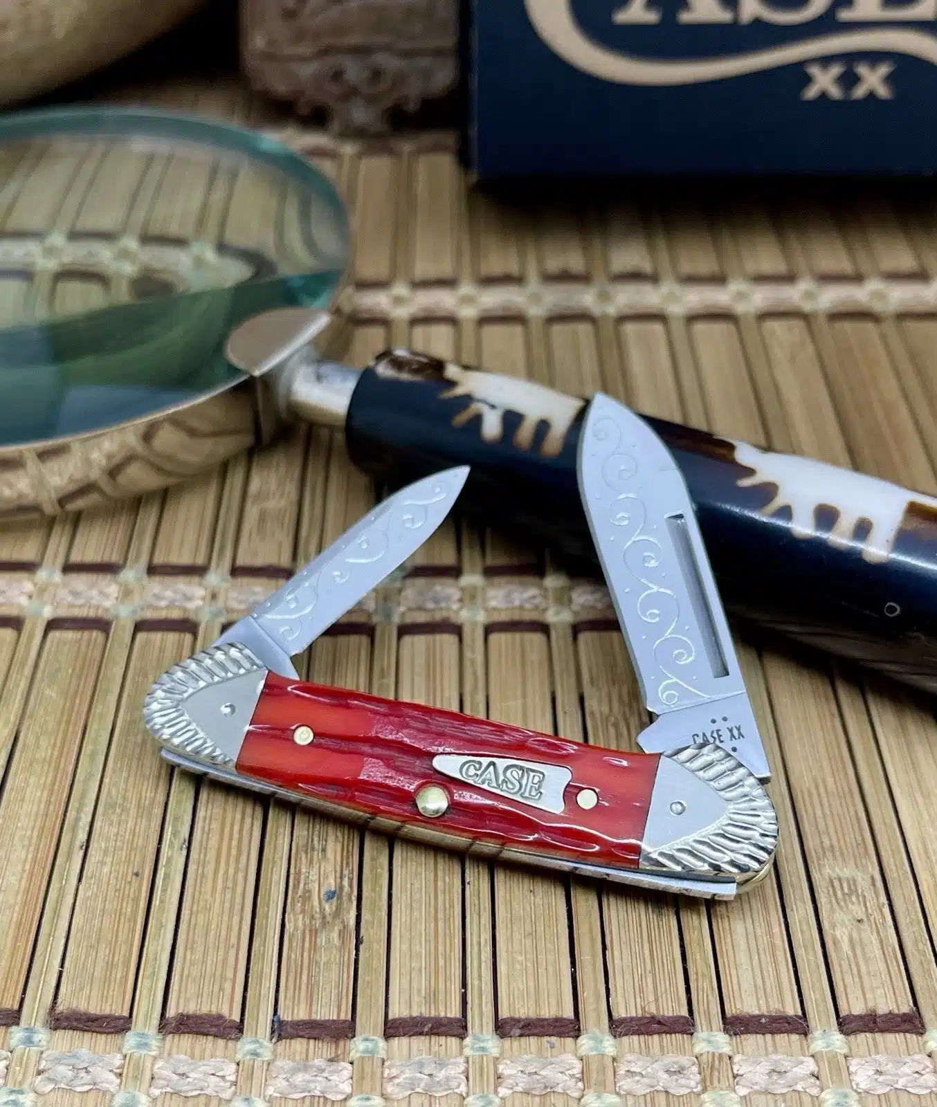 Case XX Baby Butterbean Indian Paintbrush Bone Pocket Knife #01 - Image 4