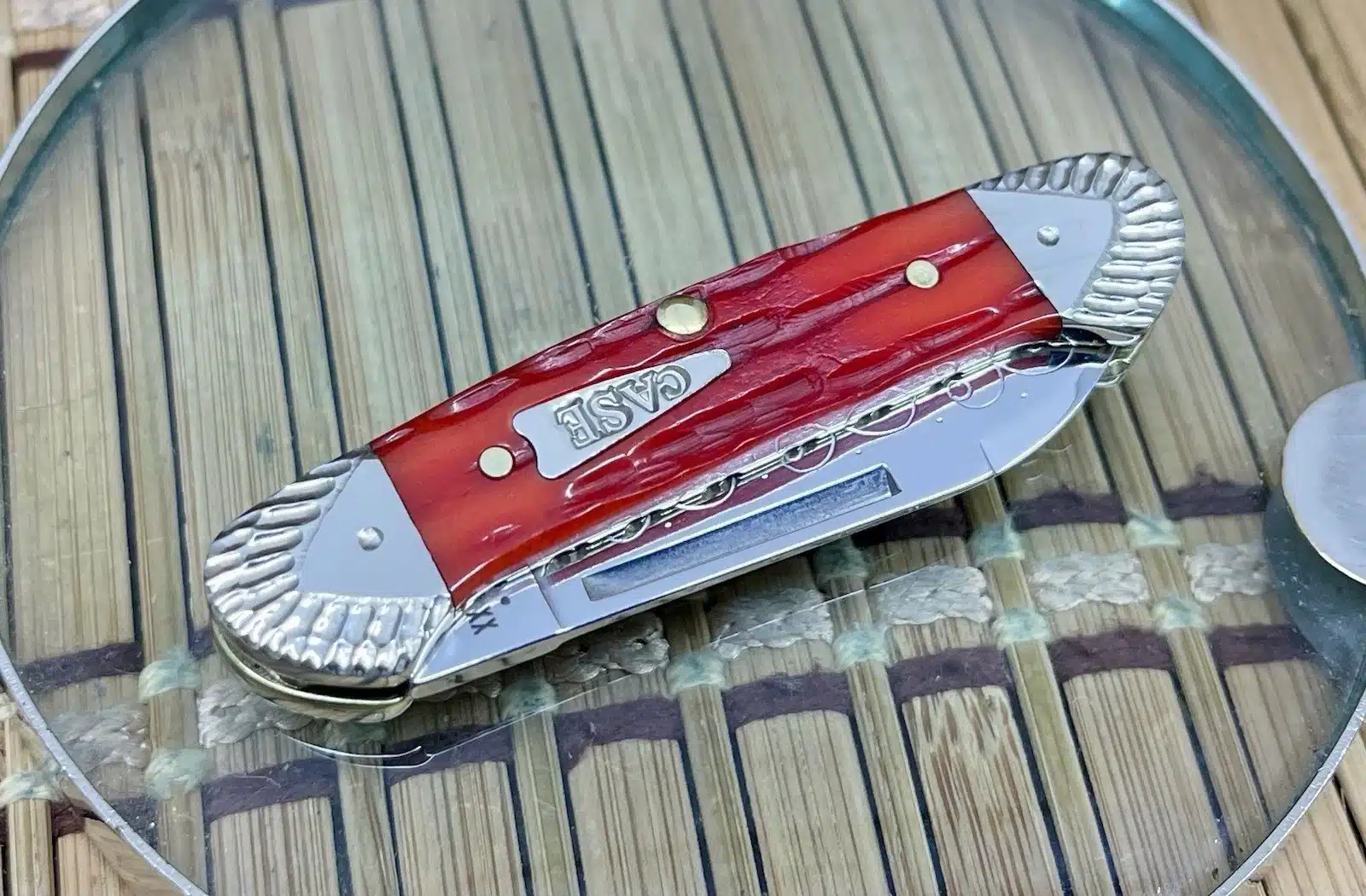 Case XX Baby Butterbean Indian Paintbrush Bone Pocket Knife #01 - Image 3