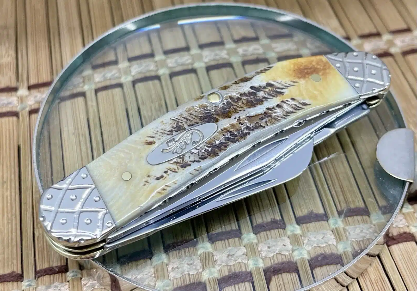 Amazing Custom Case XX 6.5 Bone Stag Engraved Sowbelly Pocket Knife #045/100 - Image 3