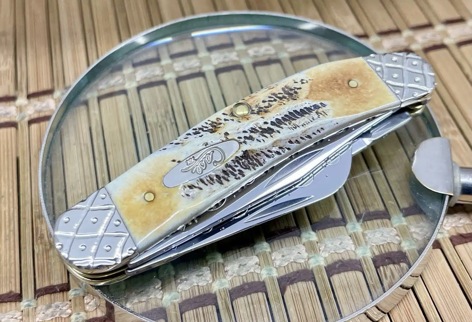 Amazing Custom Case XX 6.5 Bone Stag Engraved Sowbelly Pocket Knife #046/100 - Image 3