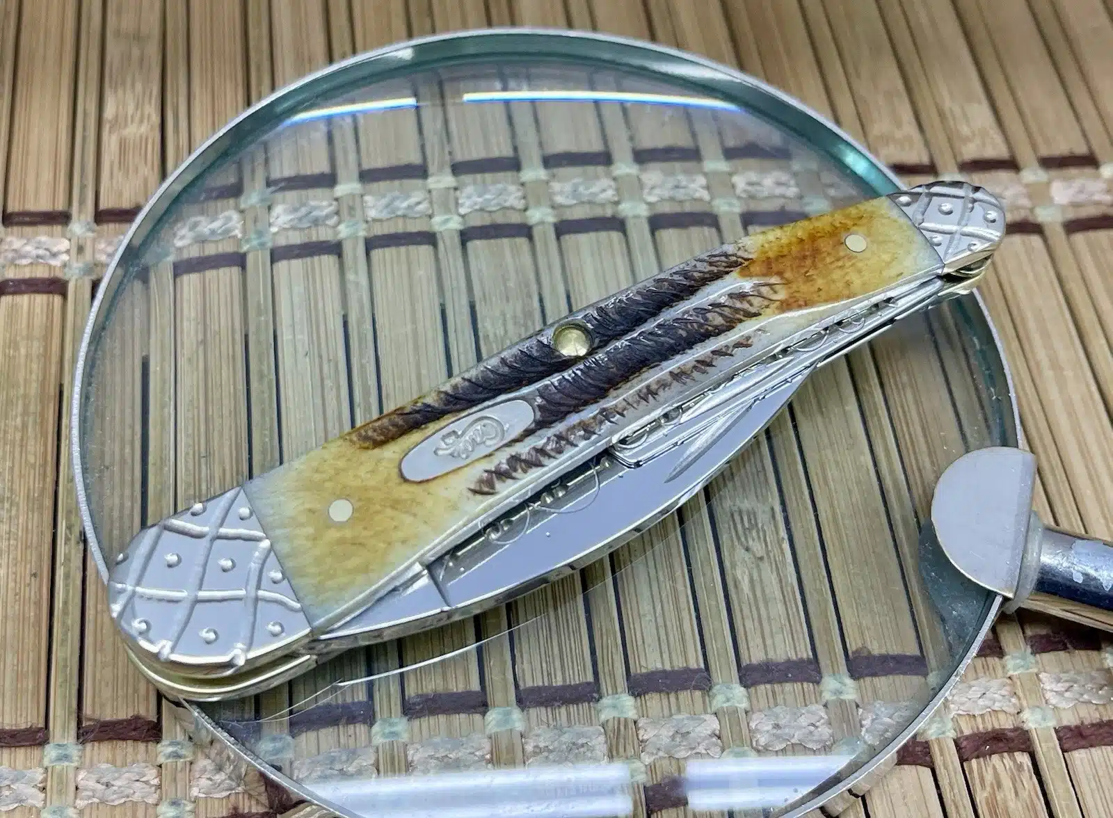 Custom Case XX 6.5 Burnt Bone Stag Engraved Seahorse Whittler Pocket Knife #07/50 - Image 3