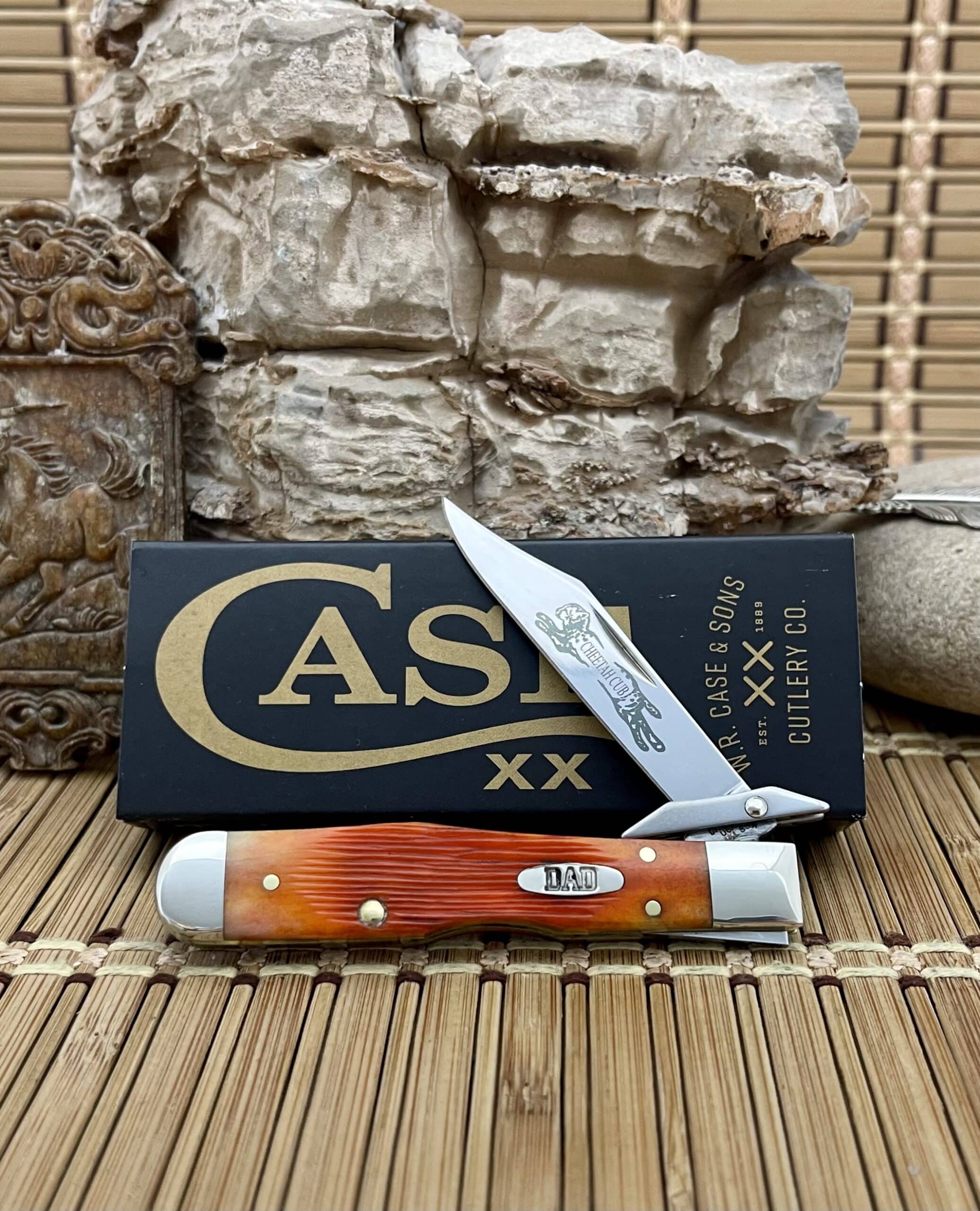 Cheetah Archives - Wild Horse Custom